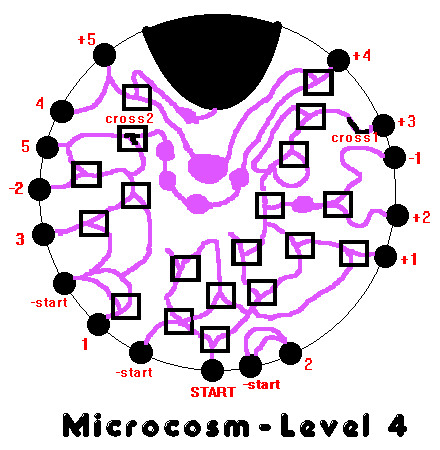 Map - Level 4